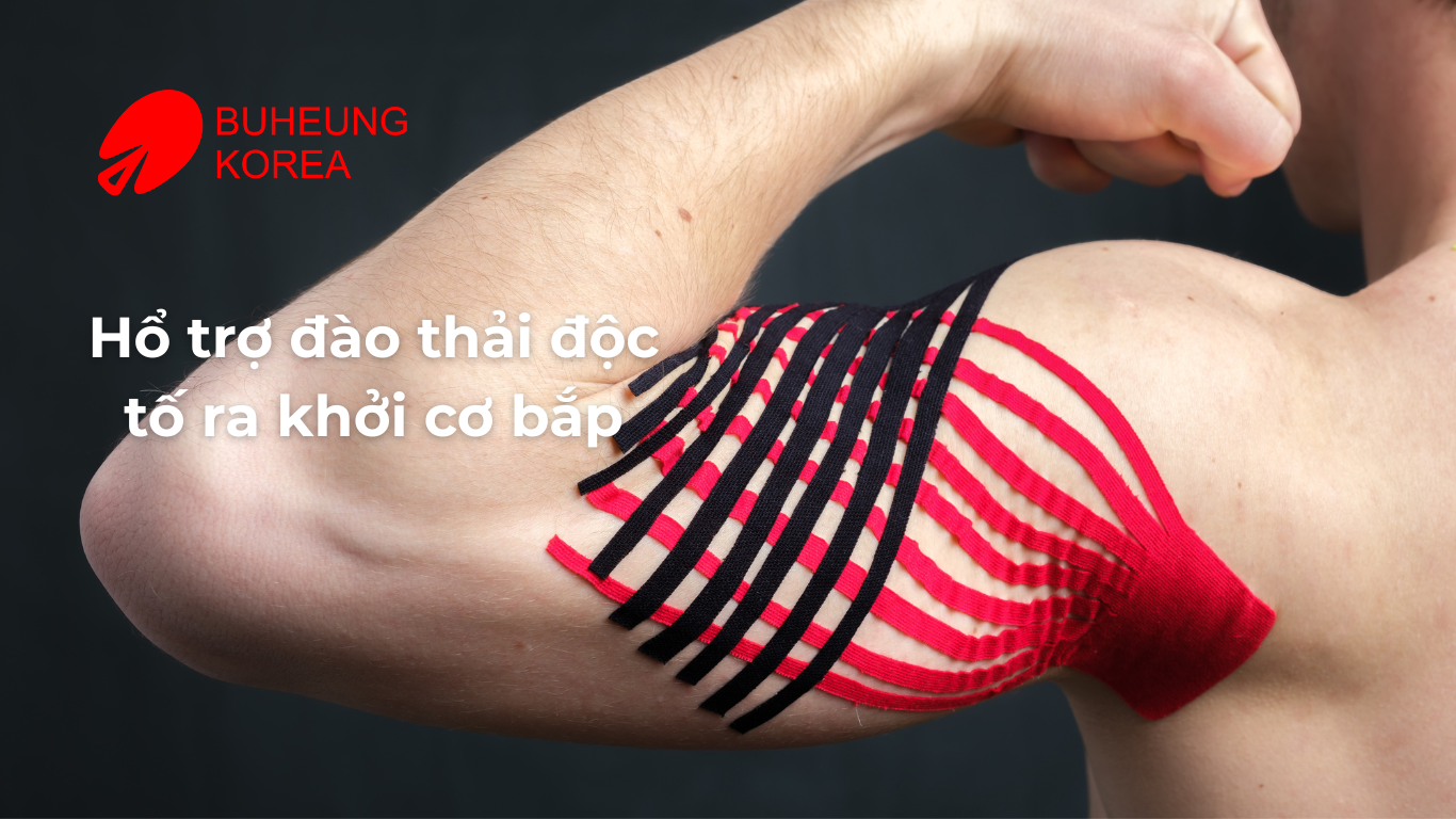 5 Lợi Ích Nổi Bật Của Máy Massage Cầm Tay Đối Với Người Có Vấn Đề Xương Khớp 2
