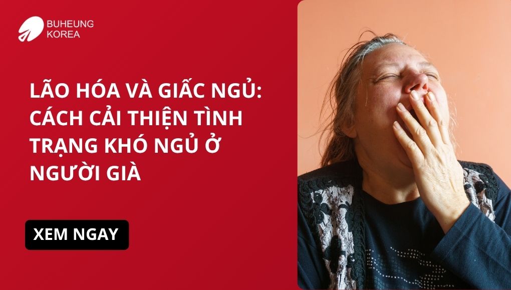 Lão Hóa Và Mất Ngủ: Cách Cải Thiện Tình Trạng Mất Ngủ Ở Người Già 1