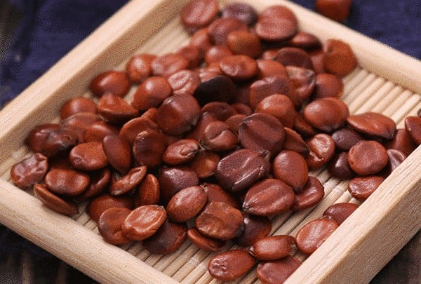 10 Loại Thảo Dược Trị Mất Ngủ Khi Stress 2k7 Nên Biết 3