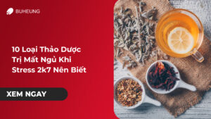 10 loại thảo dược trị mất ngủ khi stress