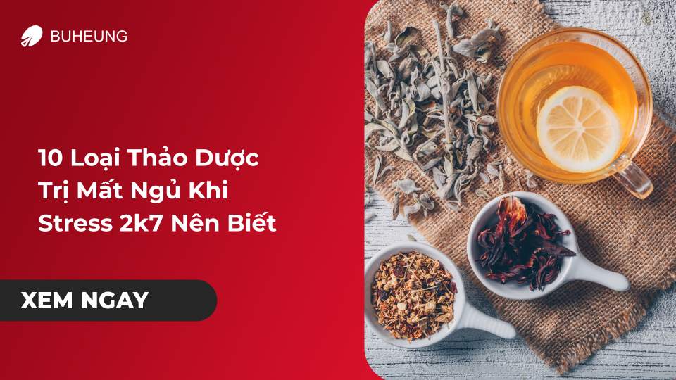 10 Loại Thảo Dược Trị Mất Ngủ Khi Stress 2k7 Nên Biết 1