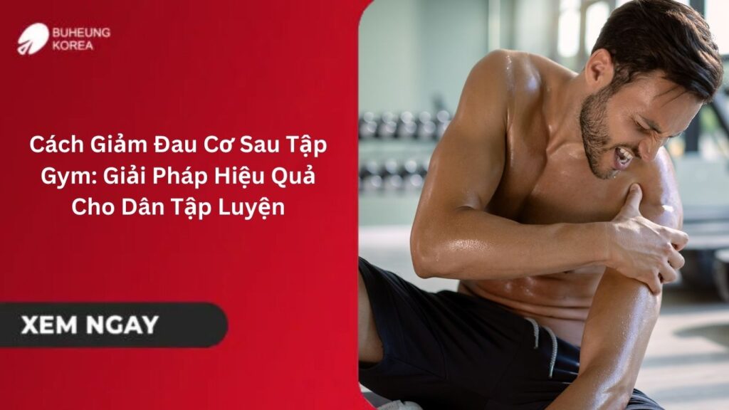 Cách Giảm Đau Cơ Sau Tập Gym: Giải Pháp Hiệu Quả Cho Dân Tập Luyện