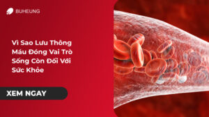Vì Sao Lưu Thông Máu Lại Đóng Vai Trò Sống Còn Với Sức Khỏe? 5