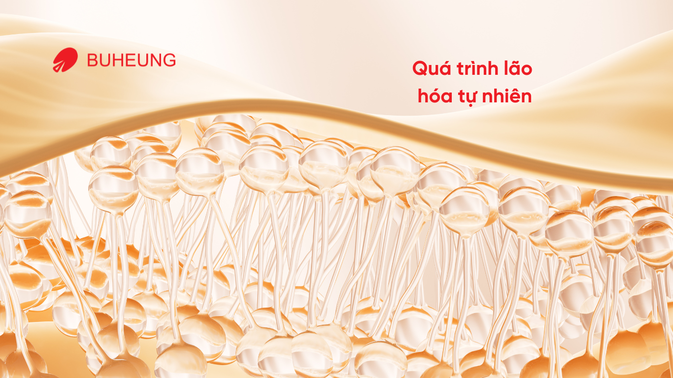 Người Cao Tuổi Có Nên Massage Tại Nhà Không? 2 Người Cao Tuổi Có Nên Massage Tại Nhà Không? 1