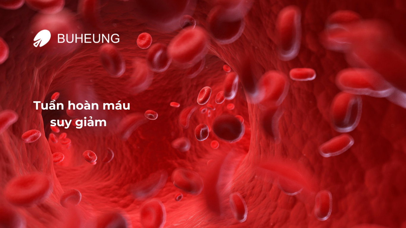 Liệu Rối Loạn Lo Âu Có Gây Đau Nhức Cơ Bắp 3