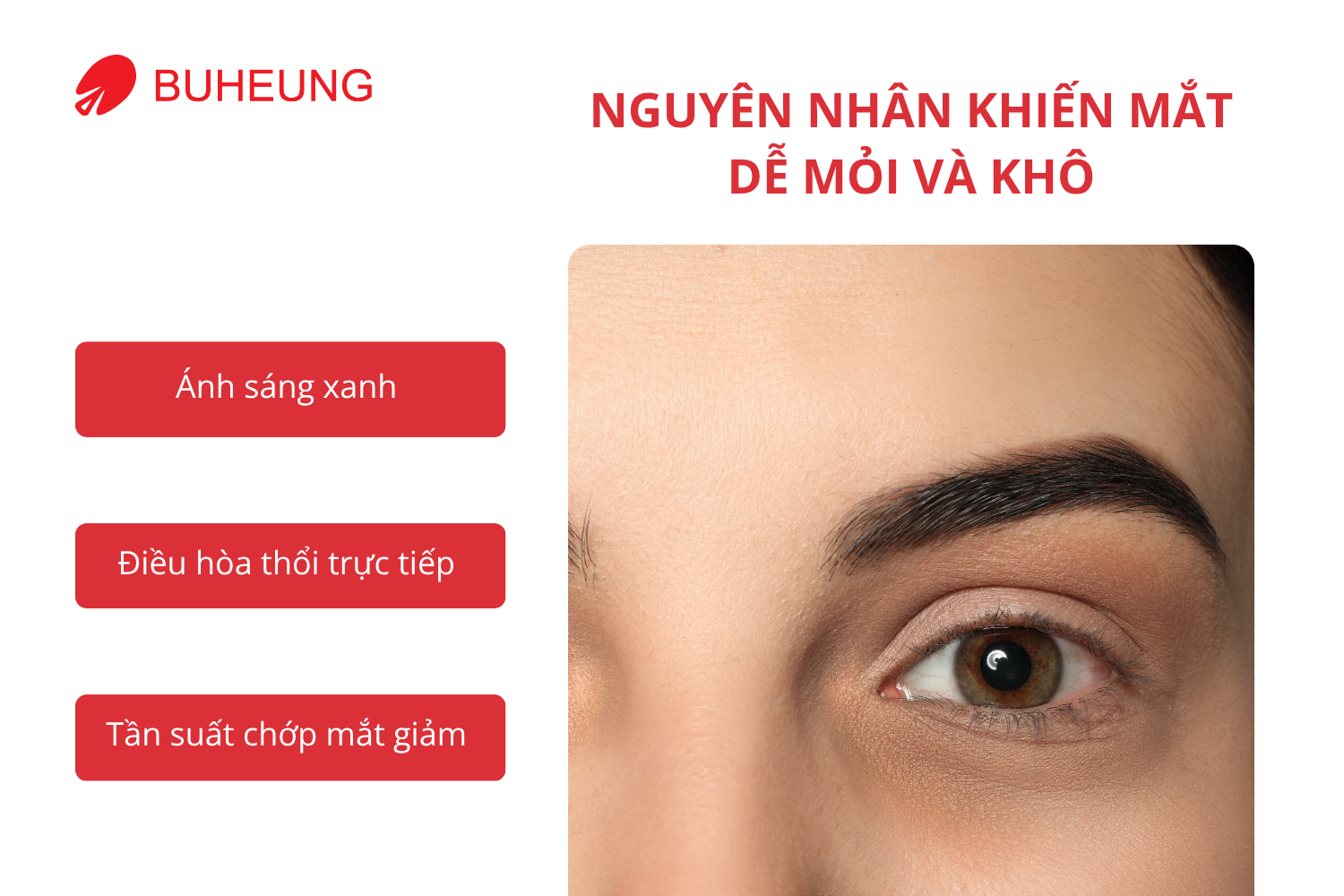Làm Việc Máy Tính 8 Tiếng/Ngày – Bí Quyết Giảm Mỏi Mắt Và Khô Mắt 1
