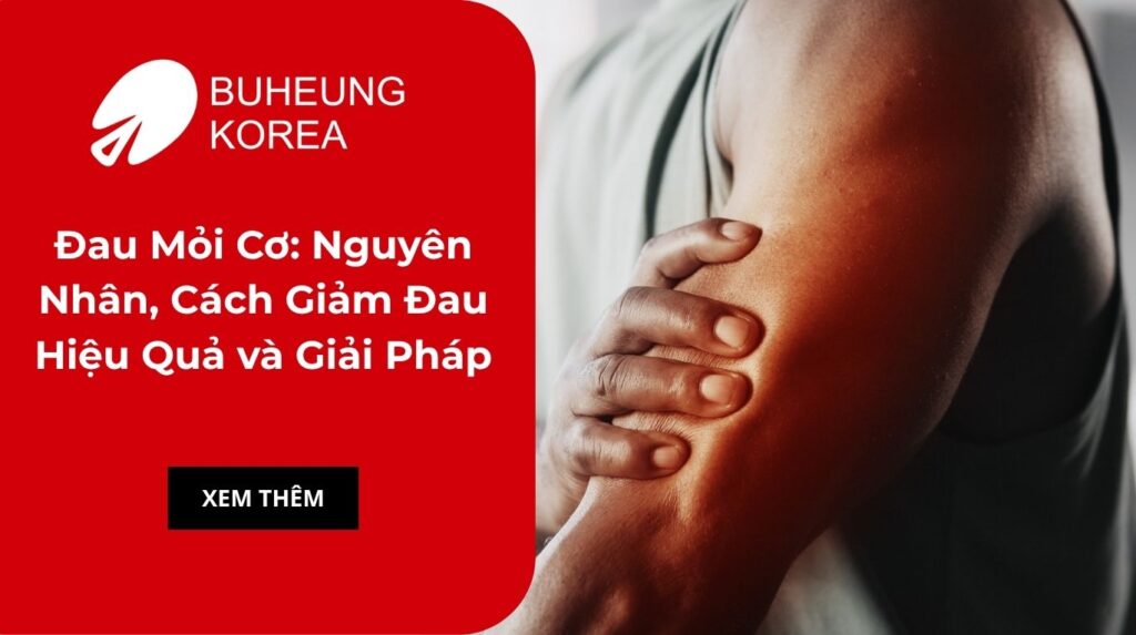 Đau Mỏi Cơ: Nguyên Nhân, Cách Giảm Đau Hiệu Quả và Giải Pháp 1 Đau Mỏi Cơ: Nguyên Nhân, Cách Giảm Đau Hiệu Quả và Giải Pháp