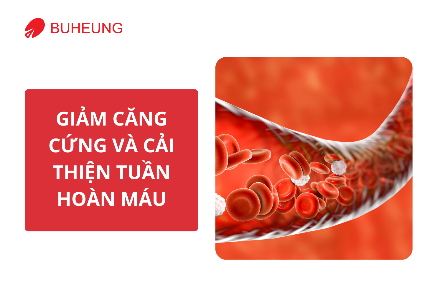 Tại Sao Ai Cũng Nên Có Một Thiết Bị Massage Cá Nhân Trong Nhà 1
