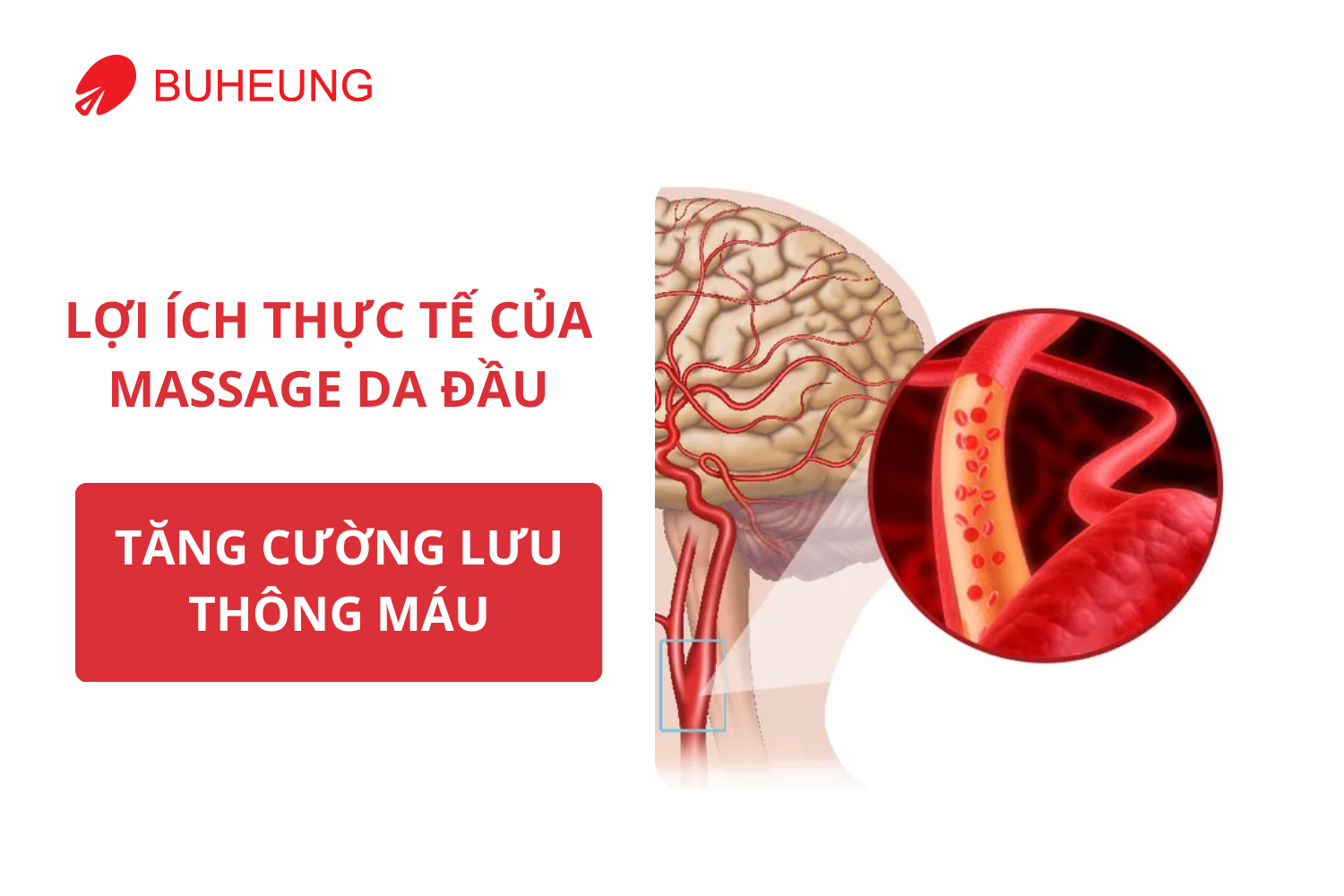 Massage Da Đầu Có Giúp Mọc Tóc Không? Sự Thật Bạn Cần Biết 1