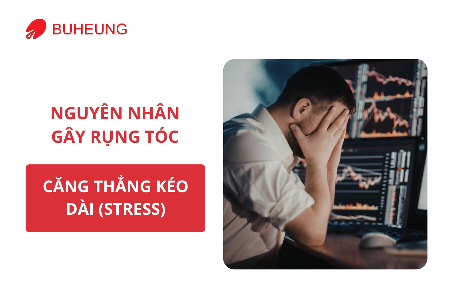 7 Nguyên Nhân Khiến Bạn Rụng Tóc Nhiều Mỗi Ngày 1
