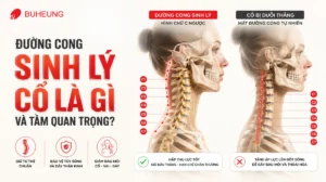 Cấu trúc giải phẫu cột sống cổ với đường cong sinh lý tự nhiên và so sánh với cột sống cổ thẳng, minh họa ưỡn cổ và các đốt sống.