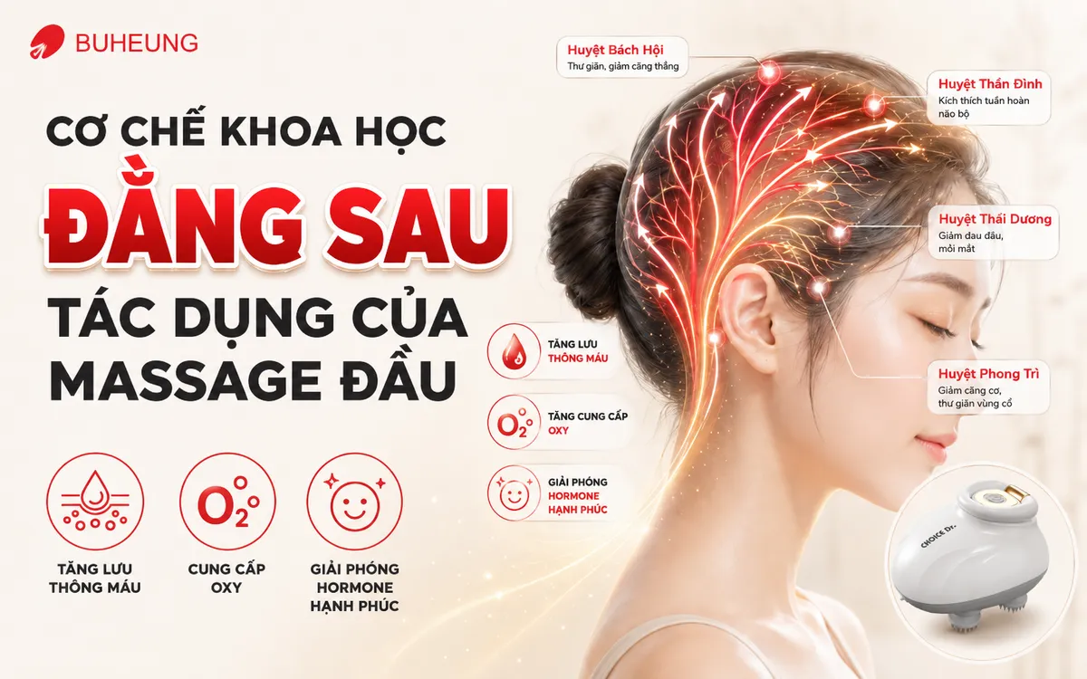 Tác Dụng Của Massage Đầu: Khám Phá 9+ Lợi Ích Vàng Cho Sức Khỏe Toàn Diện 2 Sơ đồ minh họa cơ chế khoa học của massage đầu, với các huyệt đạo và quá trình lưu thông máu dưới da đầu.