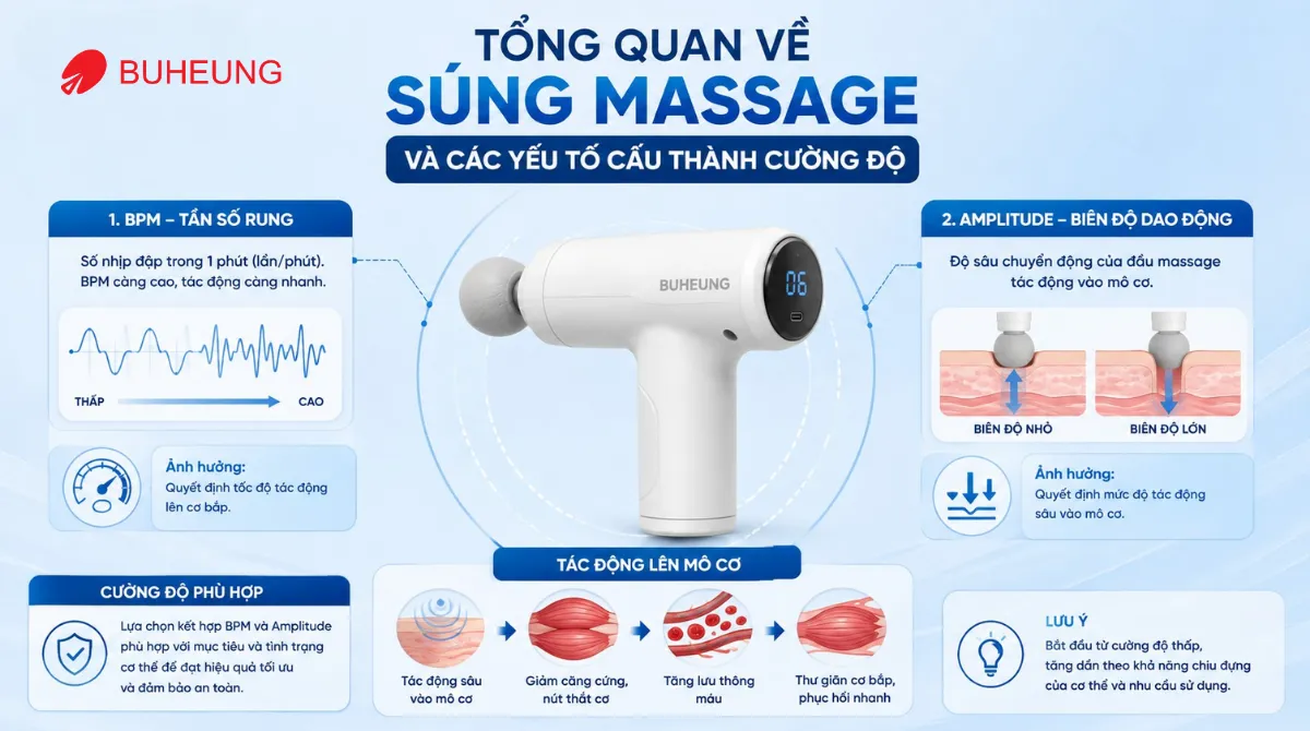 Infographic minh họa cơ chế hoạt động của súng massage Buheung MK-330, giải thích các thông số kỹ thuật như BPM và Amplitude ảnh hưởng đến cường độ.