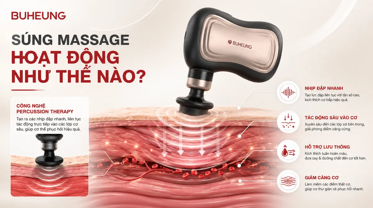 Sơ đồ minh họa cơ chế hoạt động của súng massage, tác động sâu vào mô cơ, tăng cường lưu thông máu và phá vỡ nút thắt cơ. Từ khóa: cơ chế súng massage, liệu pháp gõ, phục hồi cơ bắp.