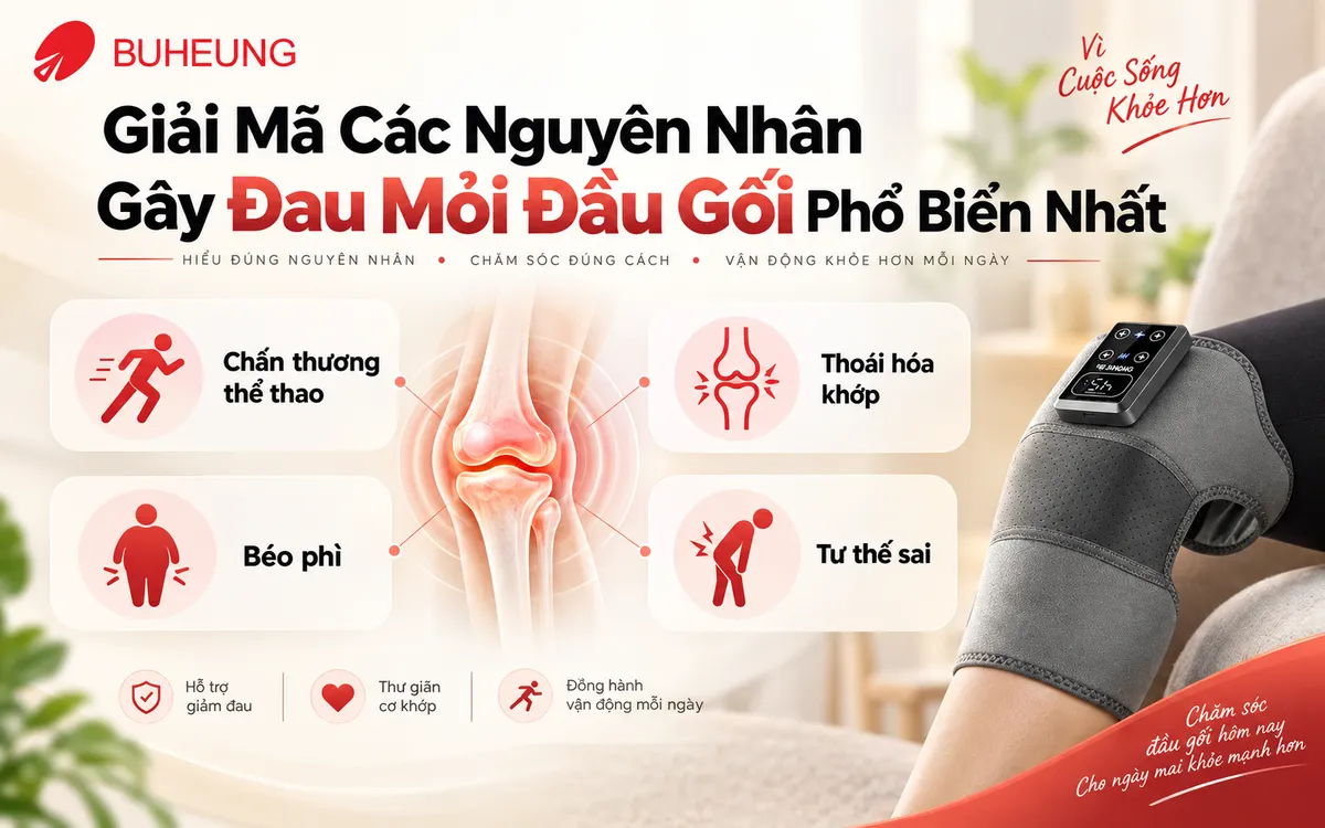 Infographic các nguyên nhân chính gây đau mỏi đầu gối, bao gồm chấn thương, bệnh lý thoái hóa và yếu tố lối sống.