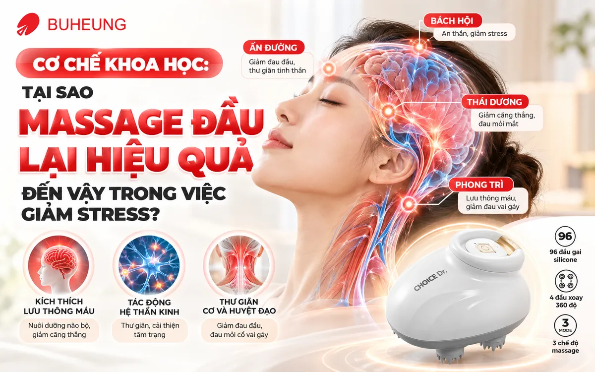 Sơ đồ minh họa các vùng cơ và huyệt đạo trên đầu, cổ, giải thích cơ chế khoa học massage đầu giảm stress.