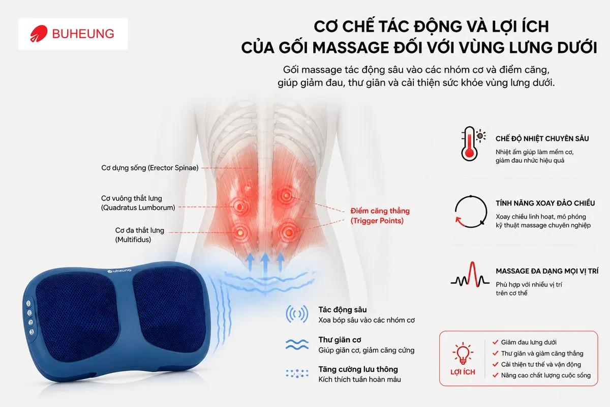 Minh họa các điểm huyệt và vùng cơ căng thẳng ở lưng dưới, cho thấy cơ chế tác động và lợi ích của gối massage trong việc giảm đau và thư giãn cơ bắp lưng dưới.