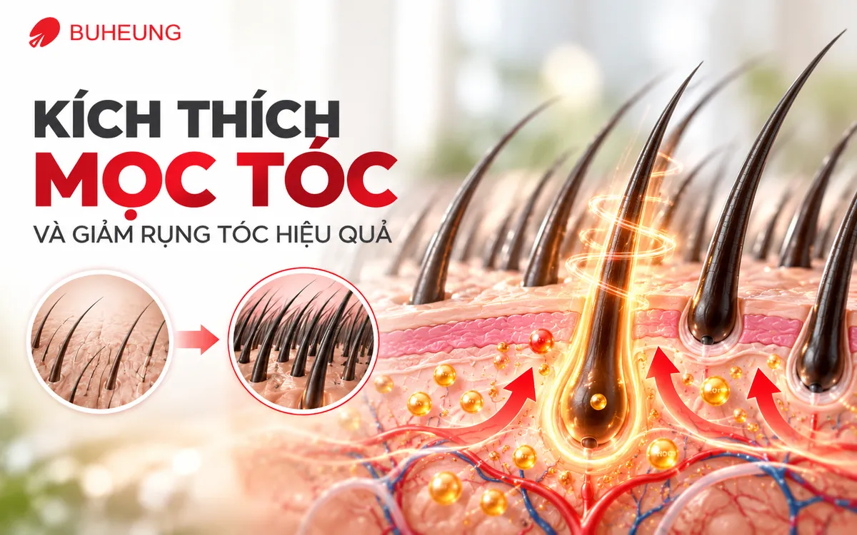 Infographic minh họa cơ chế lược massage da đầu Buheung MK-342 giúp kích thích lưu thông máu, nuôi dưỡng nang tóc, hỗ trợ mọc tóc và giảm rụng tóc hiệu quả.