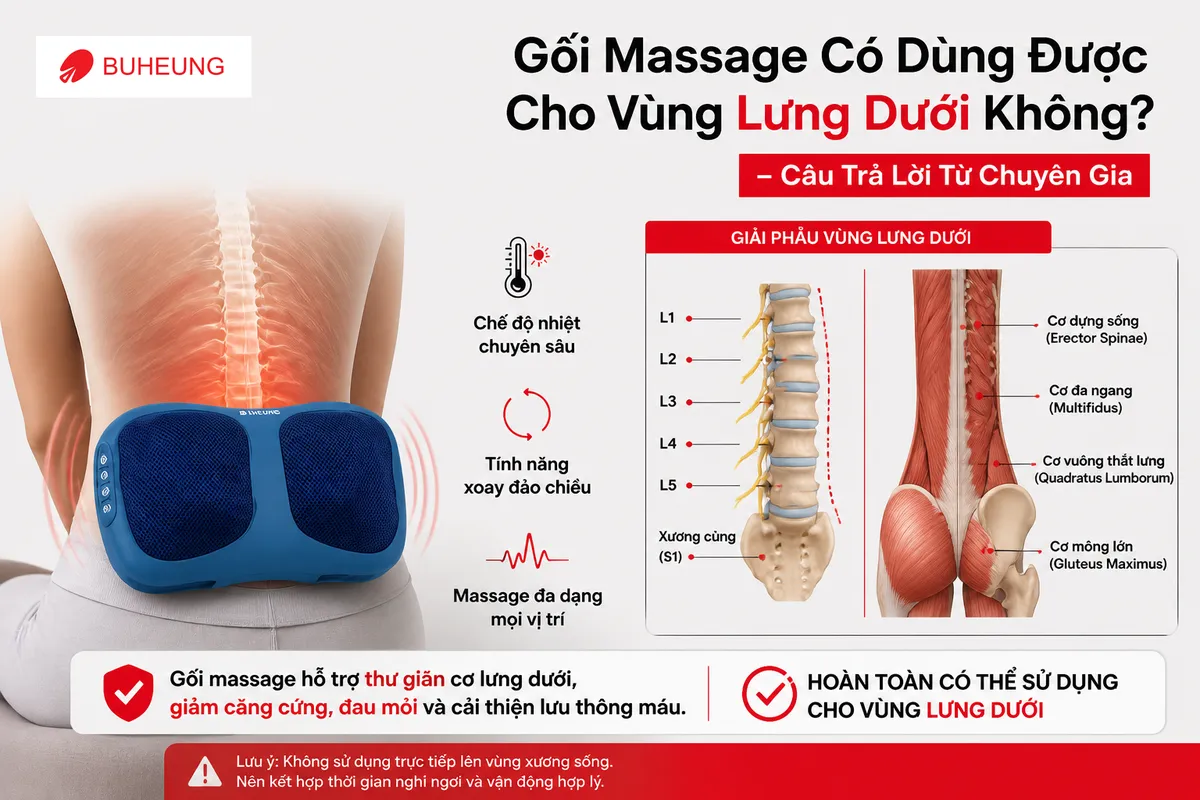 Gối massage Buheung MK-334 đang hoạt động trên vùng lưng dưới, kèm bản đồ giải phẫu cơ xương khớp lưng dưới, minh họa cách gối massage tác động hiệu quả giúp giảm đau lưng dưới.